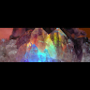 Meet your Posher, Jil